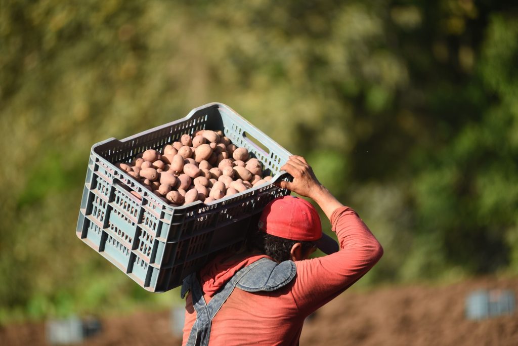 Big food runs greenwash risks over regenerative farming push - Vimarsana News