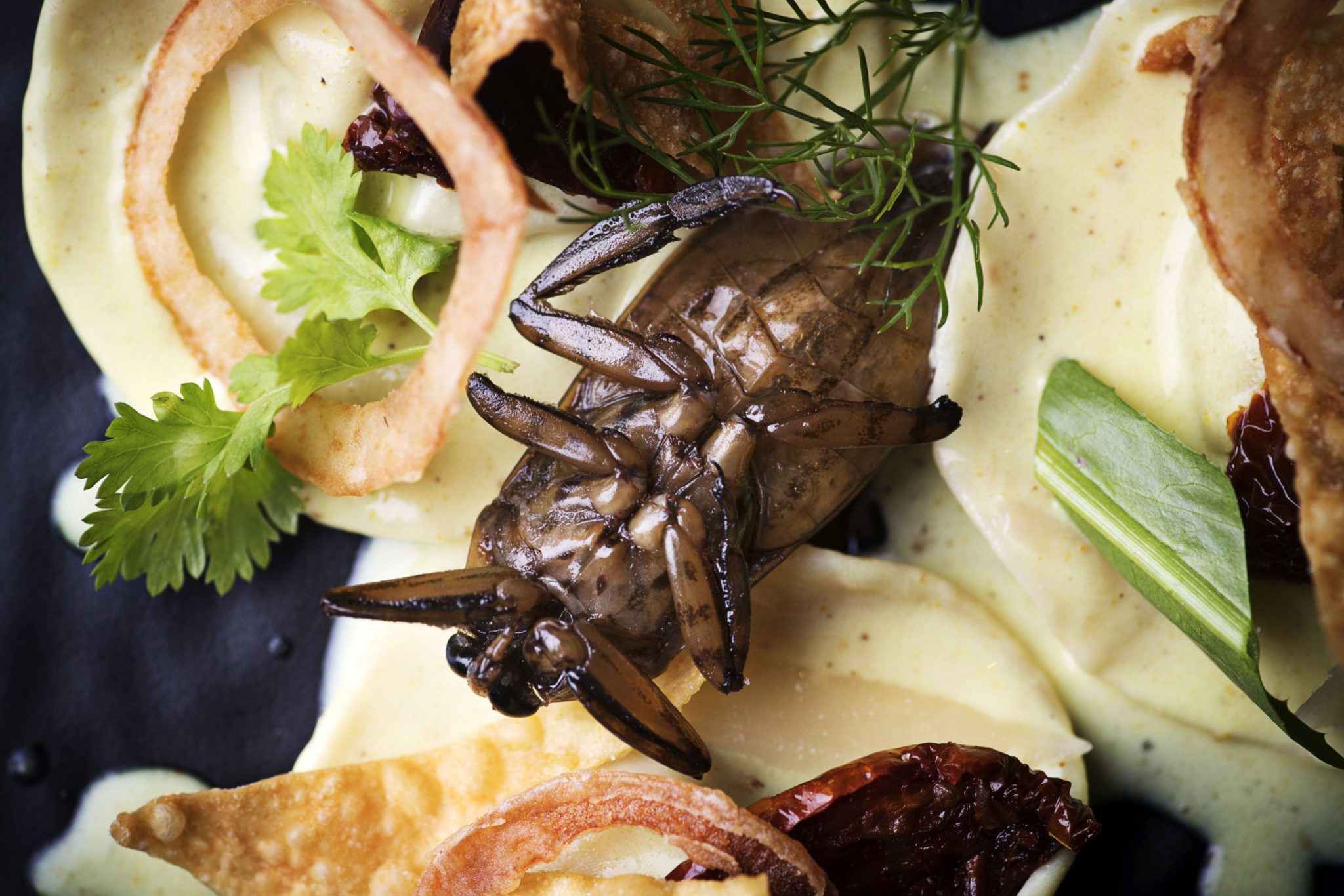 Edible insects and exotic plants may be the future of food - Moneyweb