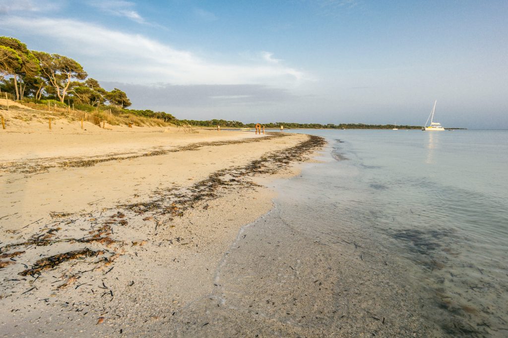 Why South Africans are buying offshore properties - Vimarsana News