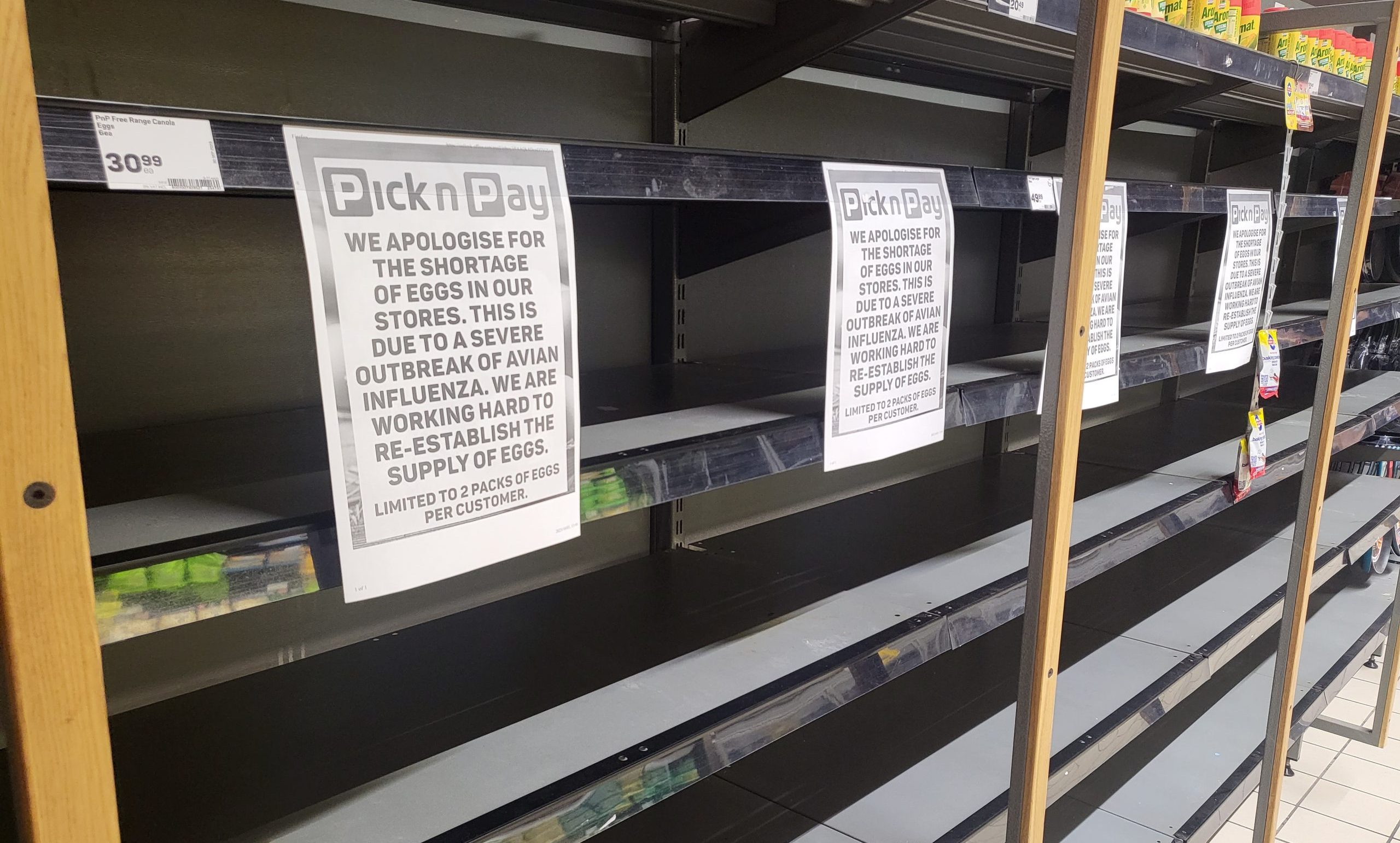 Government looking for eggs from anyone willing to sell Moneyweb