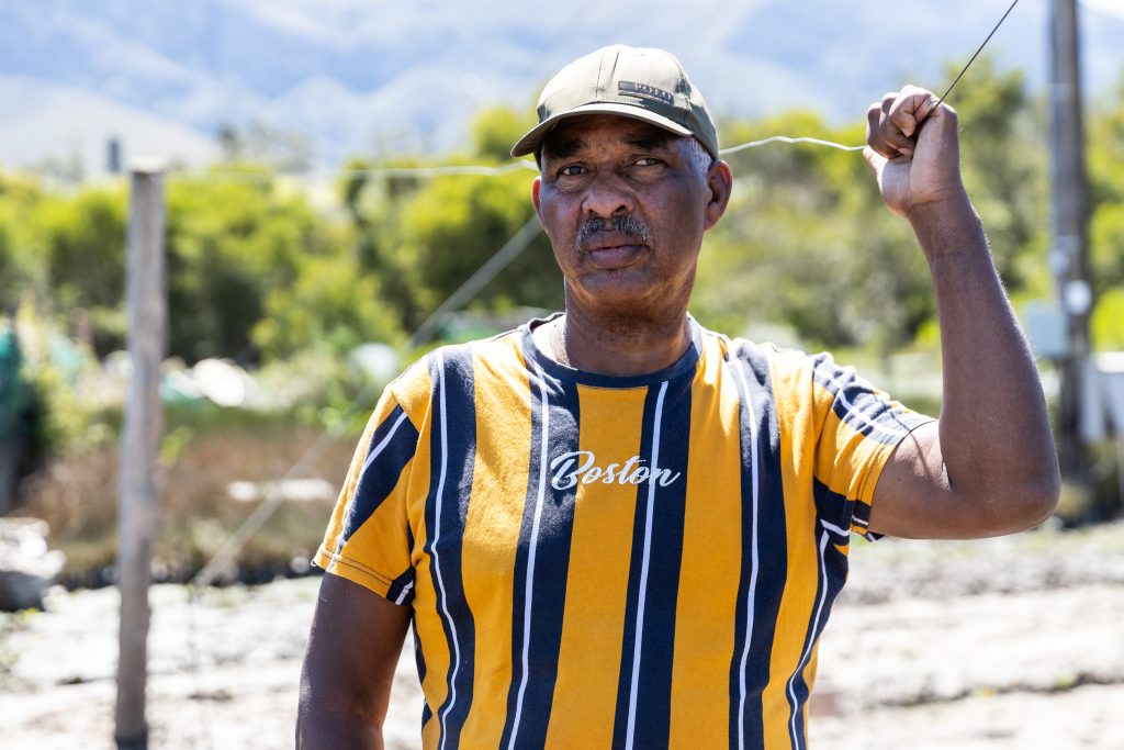 Western Cape floods: Small-scale farmers suffer devastating losses - Vimarsana News