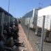 Border chaos is costing SA up to R16bn a year