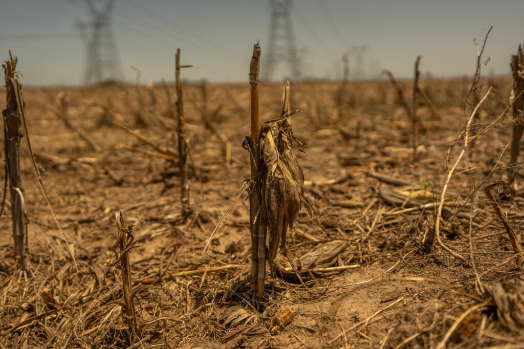 The world is quietly losing the land it needs to feed itself - Vimarsana News
