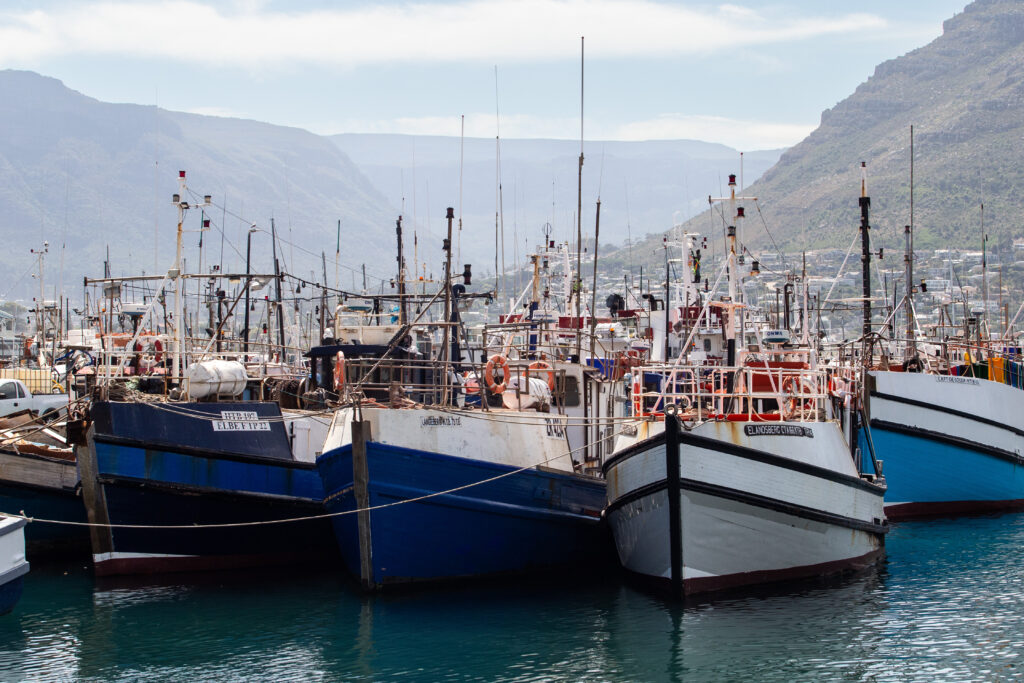 Fishing companies take Creecy to court over quotas - Vimarsana News