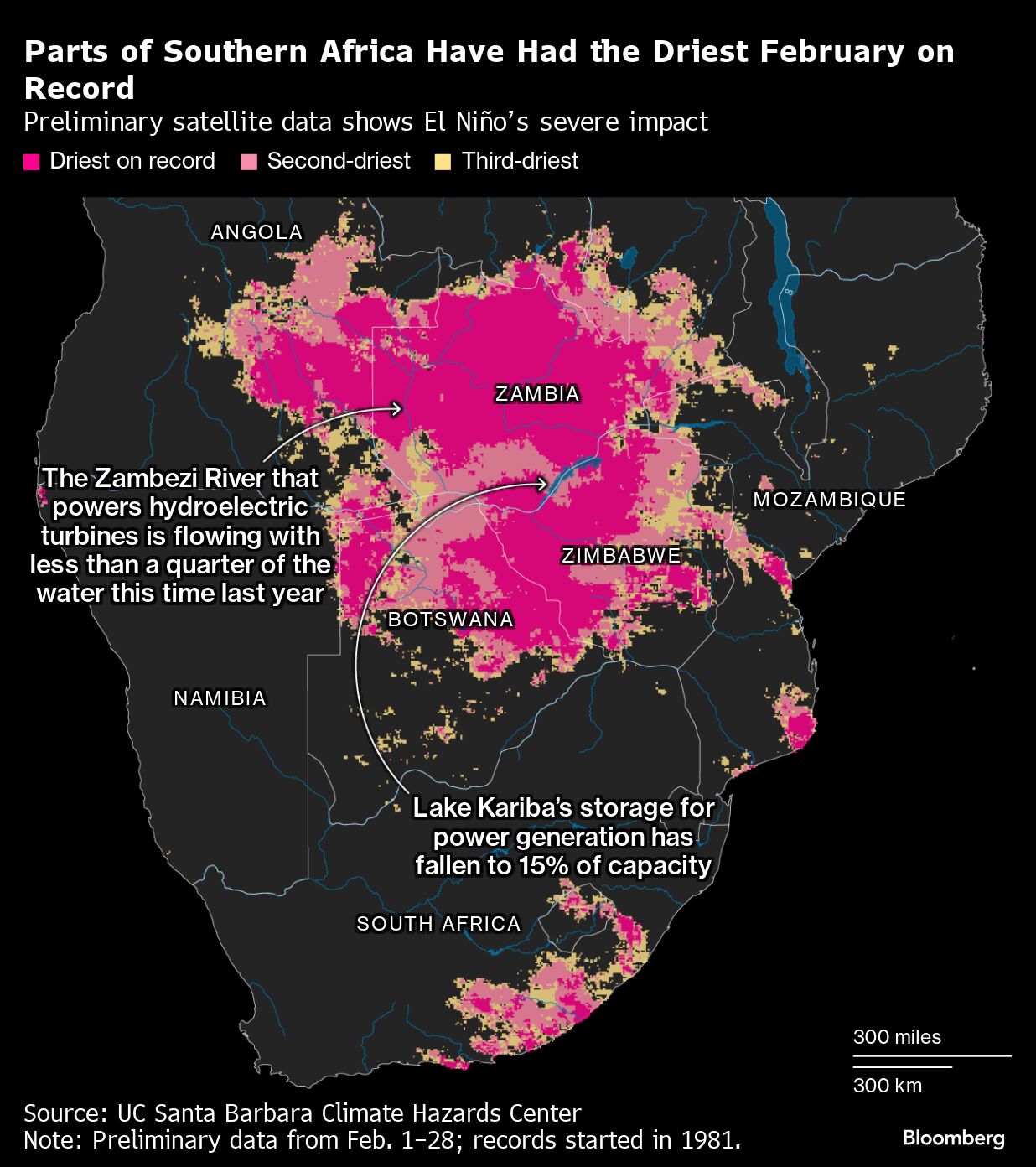 Do Flowering Cherry Trees Grow Fast
