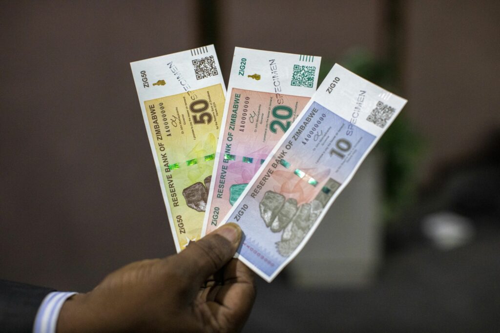 Zimbabwe to fine companies not using official ZiG FX rate - Moneyweb