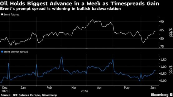 Oil holds gain as risk-on sentiment helps to support commodities - Moneyweb