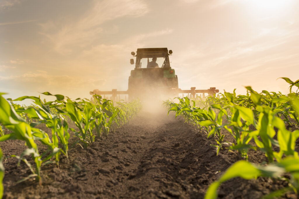 SA farms face El Niño drought risk on top of Iran war