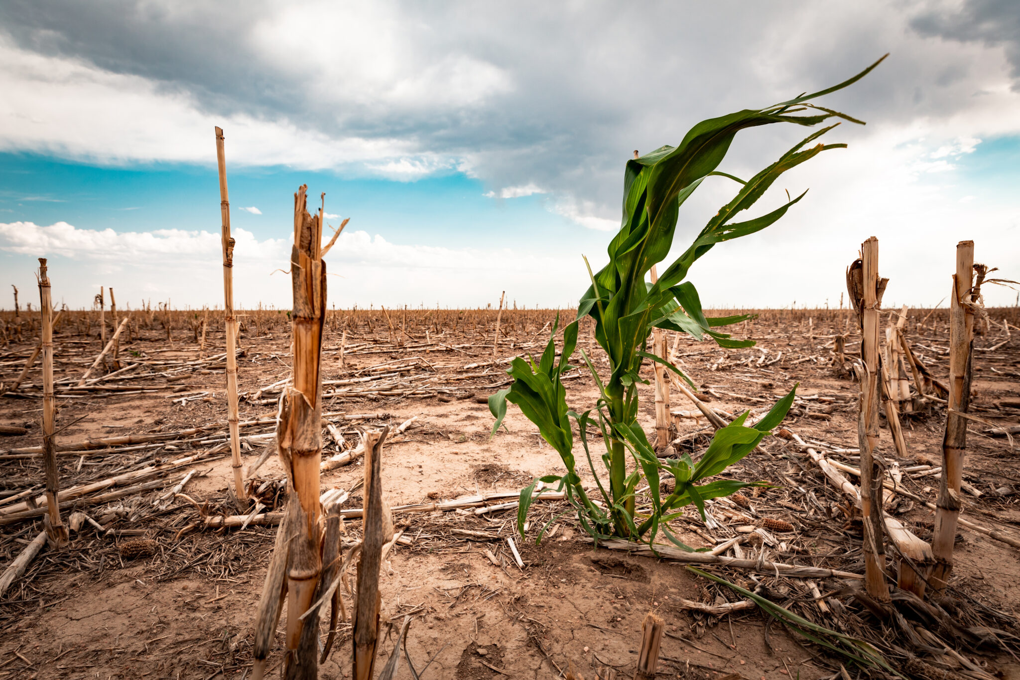 Relief is on its way for Southern Africa after a record drought - Moneyweb