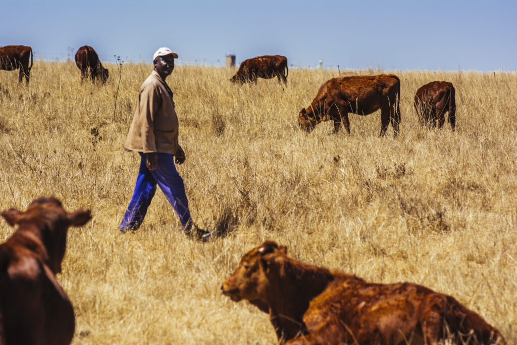 South Africa’s Land Bank reaches agreement ending debt default - Moneyweb
