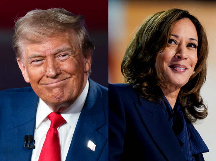 Harris, Trump face off in crucial presidential debate: What to watch ...