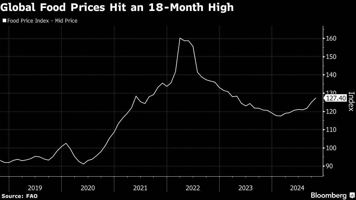 World food price index hits 18-month high on production concerns - Moneyweb