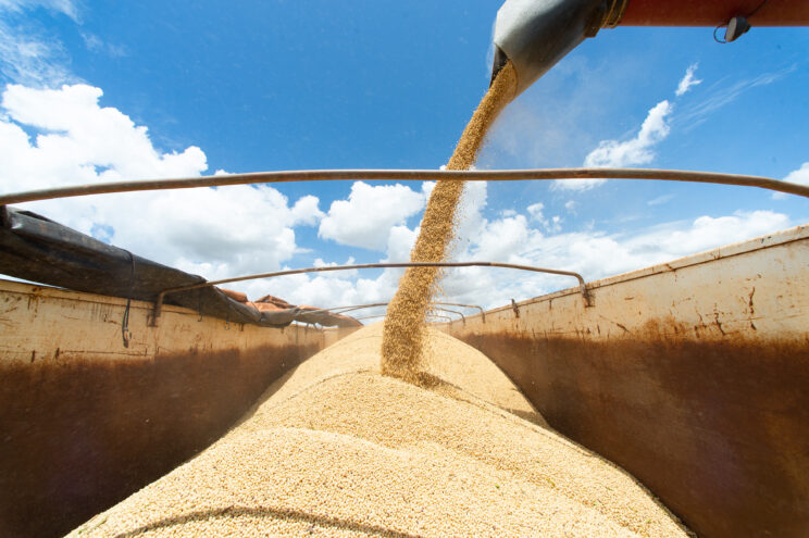Trump trade war to hurt US farmers more as China turns to Brazil - Moneyweb