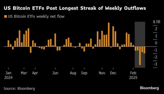 US bitcoin ETFs shed $5.5bn in longest run of outflows - Moneyweb