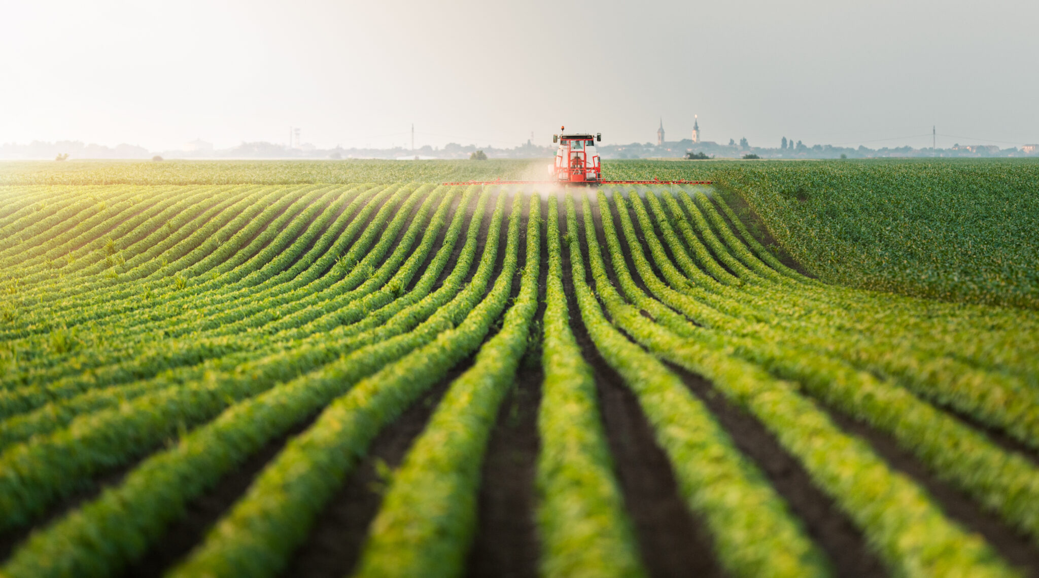 SA soybean industry breaks into Chinese market