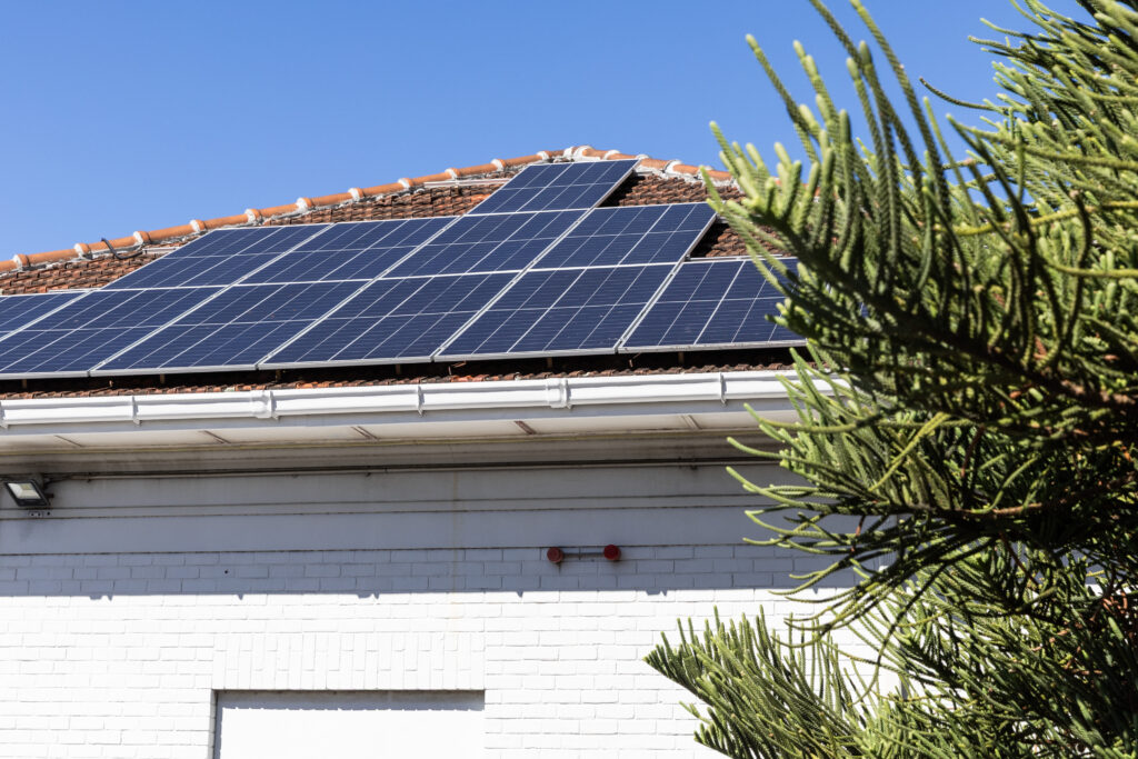 Local solar panel manufacturer imports 99% of its product, court told ...