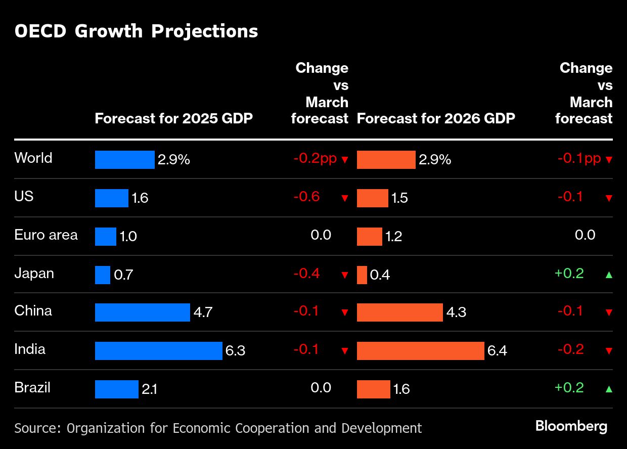 Trump tariffs are hurting US and global economy, OECD warns - Moneyweb