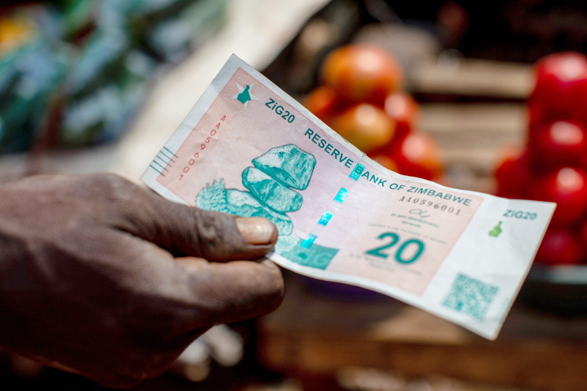 World Bank warns Zimbabwe against rush to make ZiG sole currency