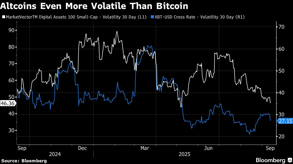 Bitcoin fans slam billion-dollar rush for altcoin balance sheets - Moneyweb