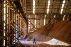 Iron ore slips as market weighs China’s ban on BHP cargoes