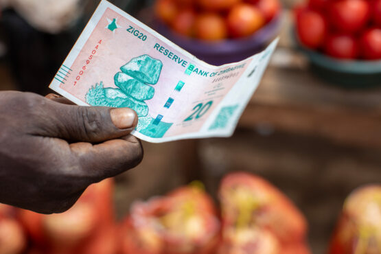 The authorities claim bumper harvests of maize and wheat, but everyday evidence and an unusable local currency suggest a very different picture. Image: Bloomberg