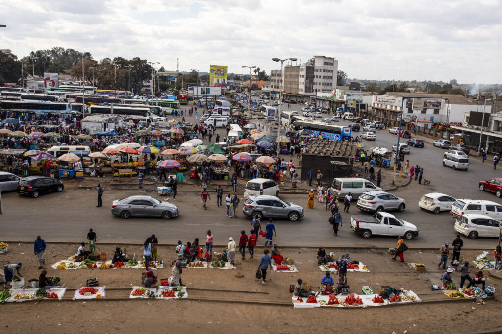 Zimbabwe: Ghost birds, frogs and men with whips