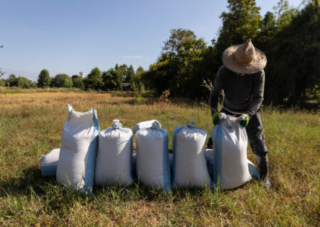 Rice prices in Asia soar as Iran war fallout threatens supply