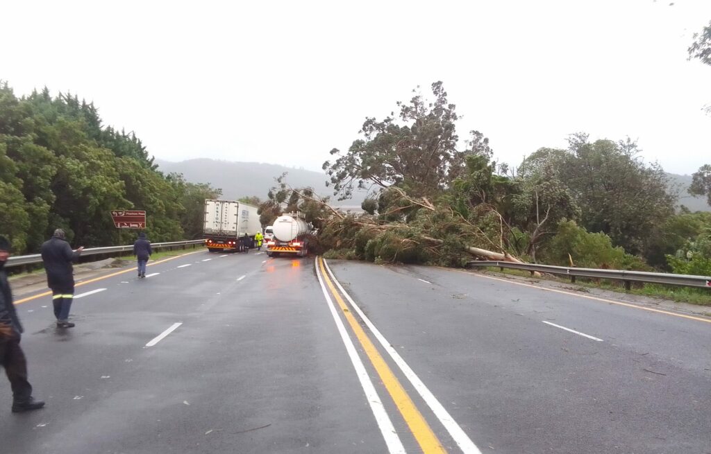 Garden Route Storms Unleash Fury: Fatalities, Flooding, and Road Closures