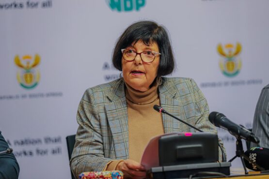 Minister of Transport, Barbara Creecy, Budget vote