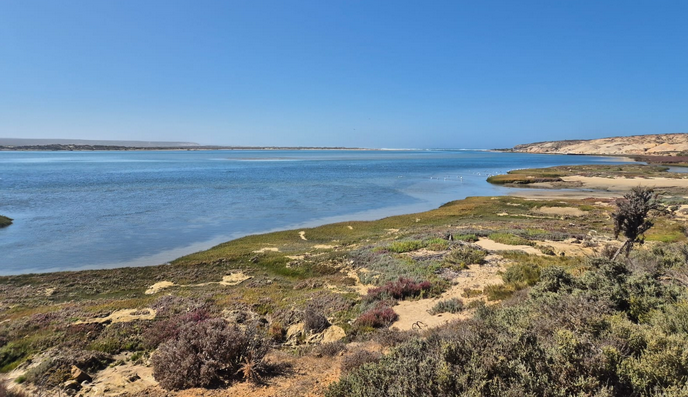 Trans Hex faces challenge over West Coast diamond sites