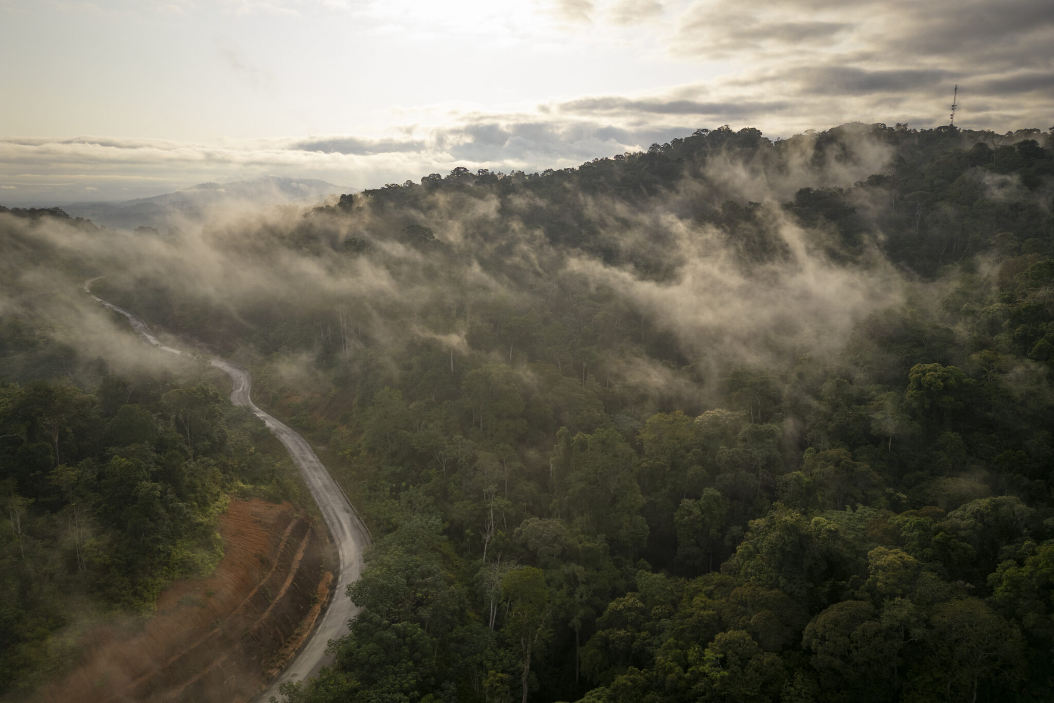 Africa's Congo basin, vital to earth's climate, is critically understudied