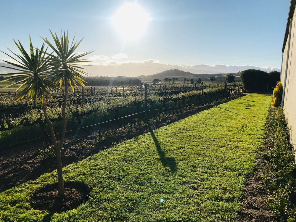 Does the wine taste better when you own a piece of the vineyard?