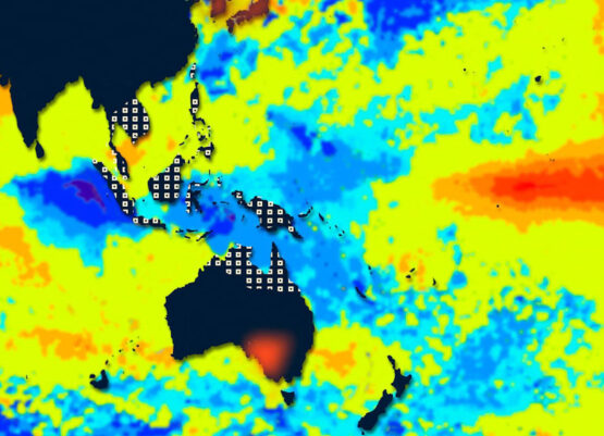 The 2023/24 El Niño was one of the top five strongest ever recorded and while it dramatically affected some parts of the world, some of the expected effects didn't materialise. Image: Universal Images Group North America LLC/Alamy
