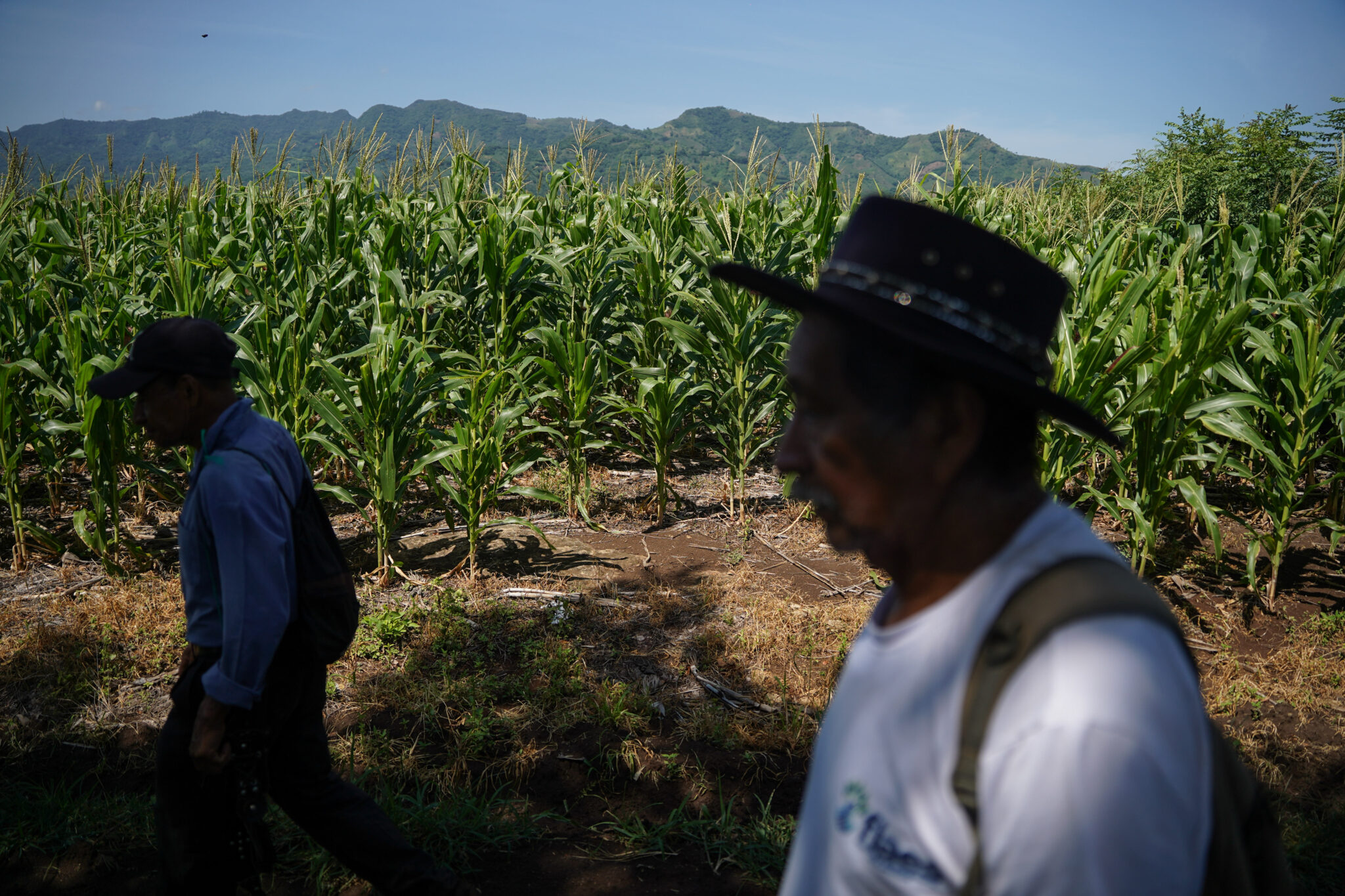 El Niño could push millions into acute hunger, UN warns