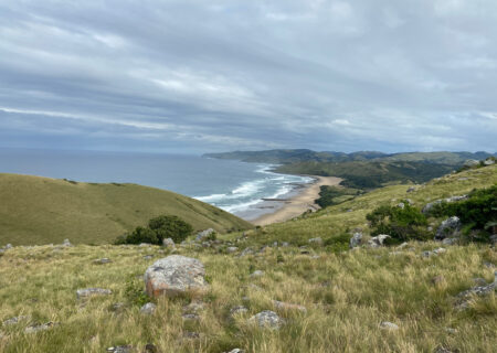 Shell loses five-year legal fight with South African activists