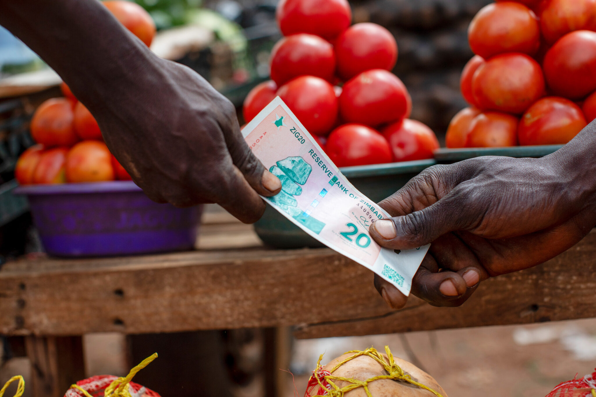 Citi sees Zimbabwe breaking from past in economic turnaround