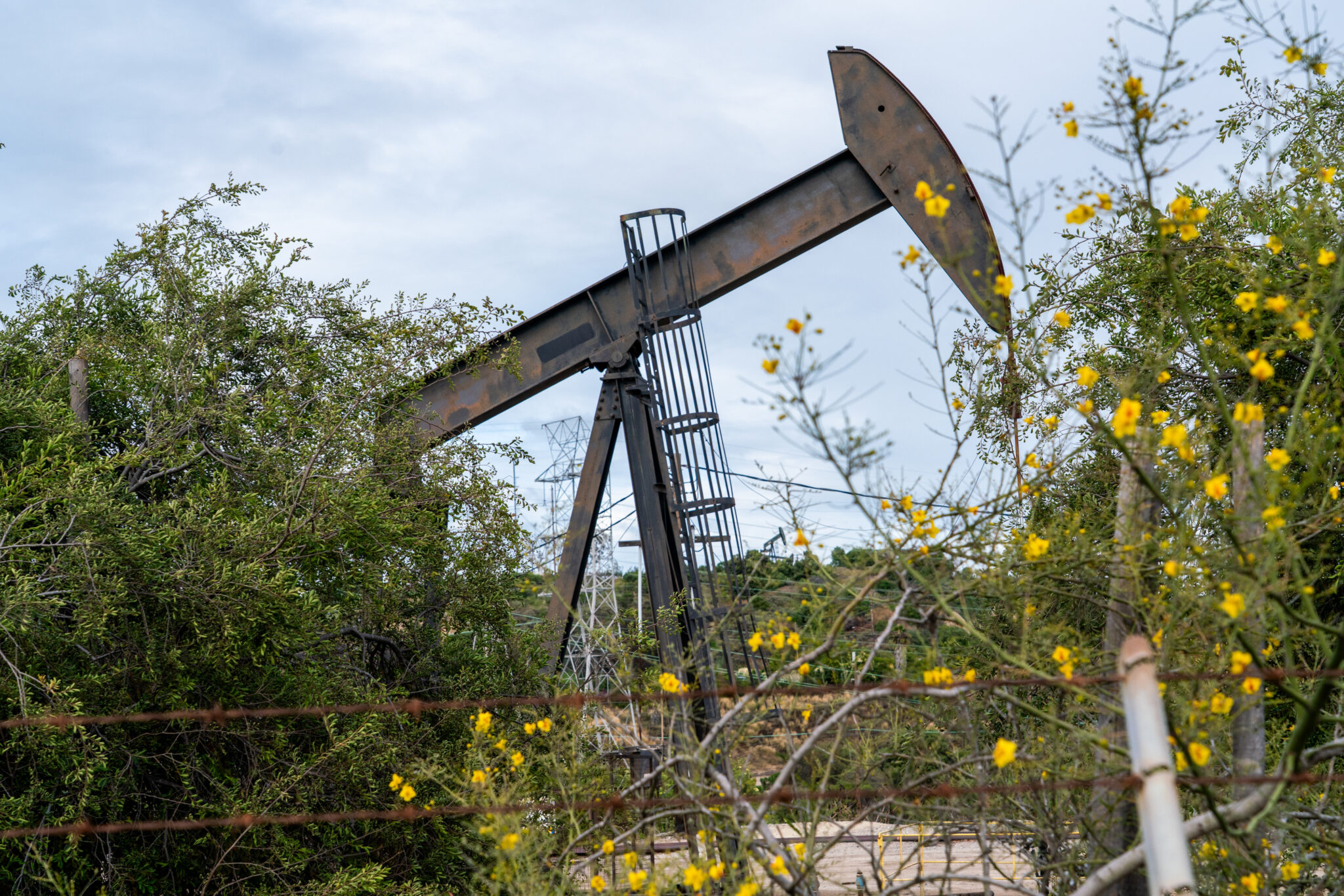 Oil dips after rally as Trump sees short-lived Iran strikes