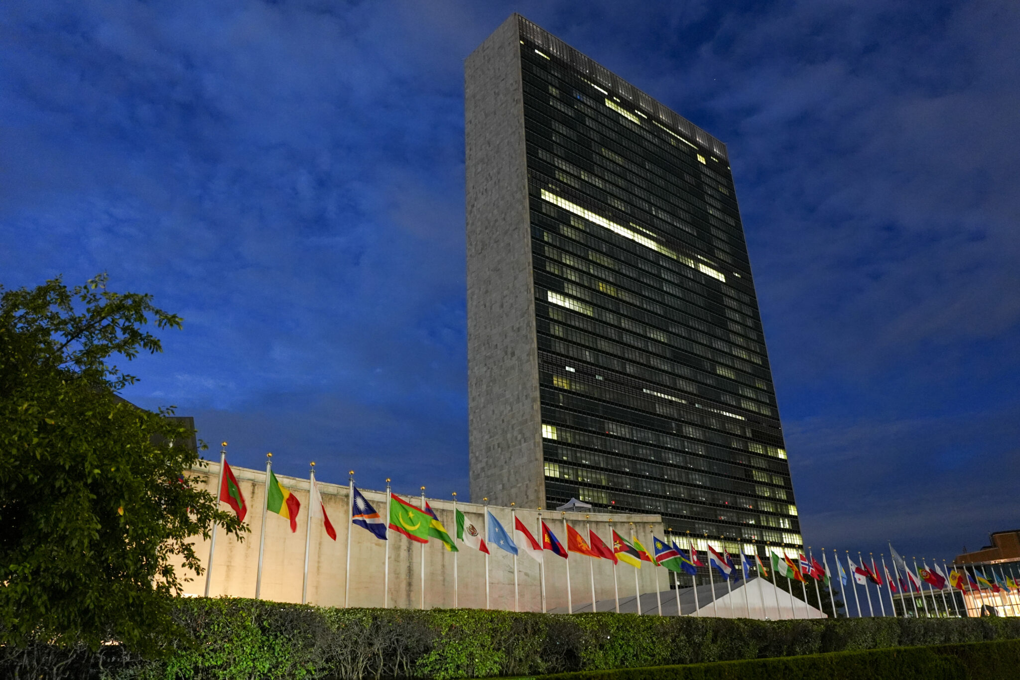 The UN says carbon removal is necessary