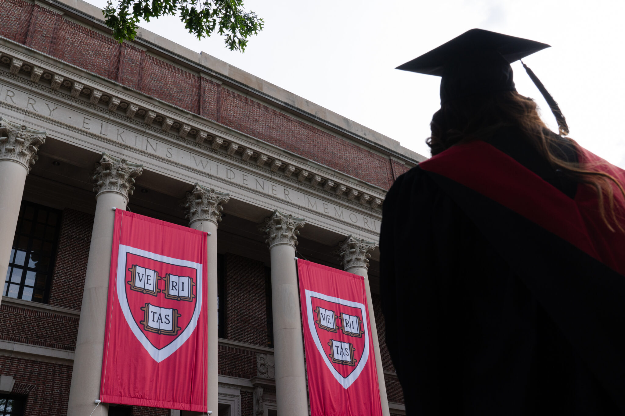 Mit Harvard Harvard, MIT face visa probes amid US crackdown on global talent - Moneyweb